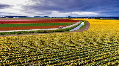 Tiempo de innovación agropecuaria: ¿Cómo anotarse a la Expoagro? Tiempo de innovación agropecuaria: ¿Cómo anotarse a la Expoagro?