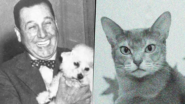 Frases de Perón: la crítica contra los gatos y su amor por los perros