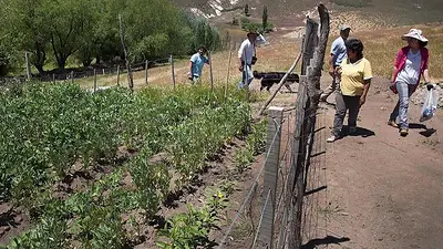 Más de $ 100 millones para garantizar la seguridad alimentaria de familias agrícolas Más de $ 100 millones para garantizar la seguridad alimentaria de familias agrícolas