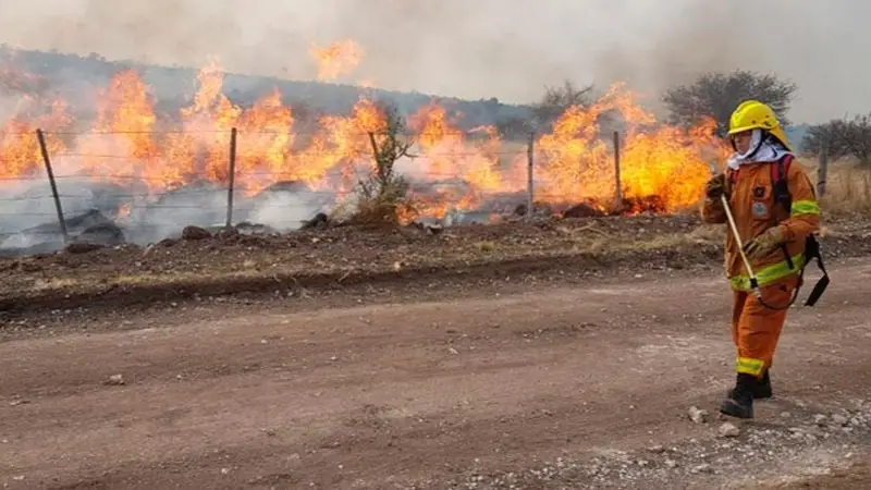 El Gobierno otorgará 10 mil pesos a quienes combatan los incendios