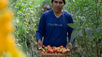 Frutazo: la Unión de Trabajadores de la Tierra ofrece frutas agroecológicas a precios populares Frutazo: la Unión de Trabajadores de la Tierra ofrece frutas agroecológicas a precios populares