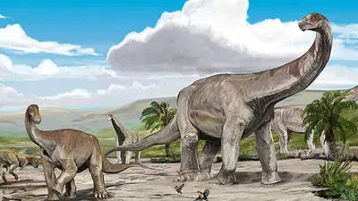Impresionante hallazgo en La Rioja: dos nuevas especies de dinosaurios Impresionante hallazgo en La Rioja: dos nuevas especies de dinosaurios