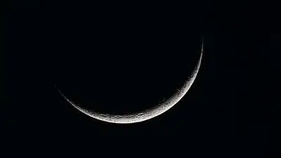 Luna Nueva Luna Nueva