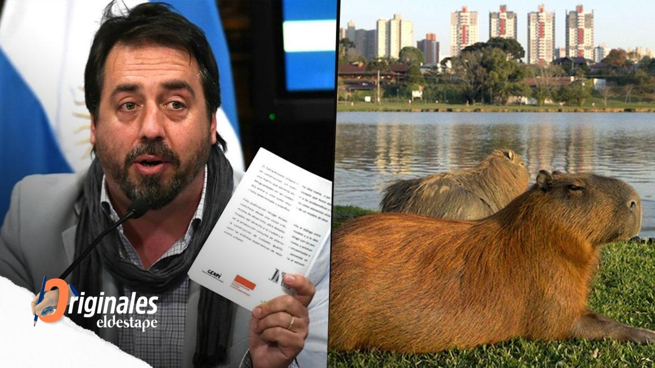 Enrique Viale, abogado ambientalista, explica cómo es que los carpinchos pusieron en agenda la necesidad de una Ley de Humedales