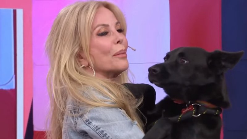 Graciela Alfano