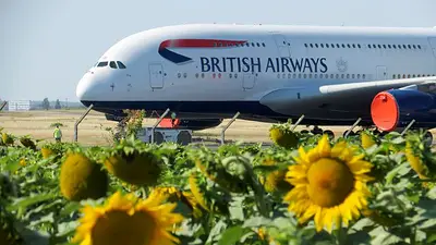 British Airways se dispone a revertir su decisión de suprimir vuelos a Gatwick British Airways se dispone a revertir su decisión de suprimir vuelos a Gatwick