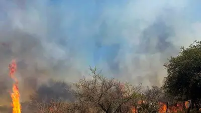 Un foco de incendio forestal permanece activo en la localidad riojana de Arauco Un foco de incendio forestal permanece activo en la localidad riojana de Arauco