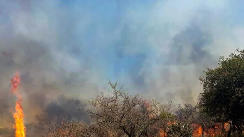 Incendios en Córdoba