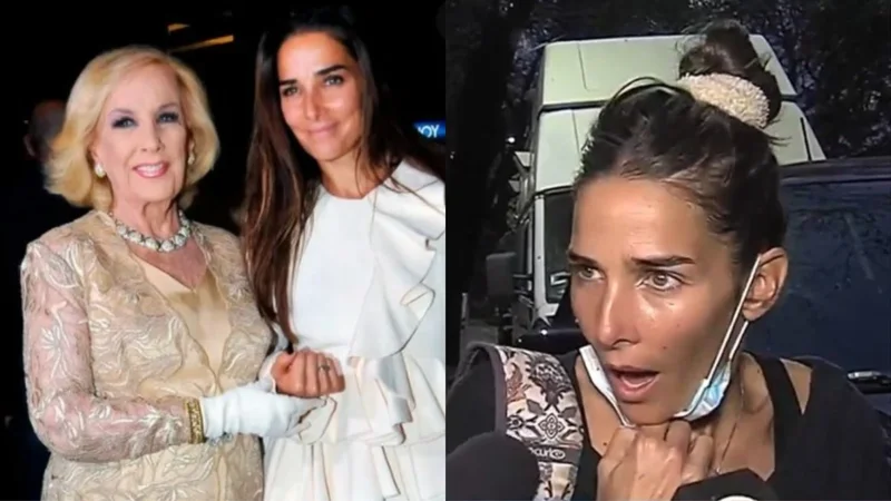 Juana Viale, Mirtha Legrand, televisión