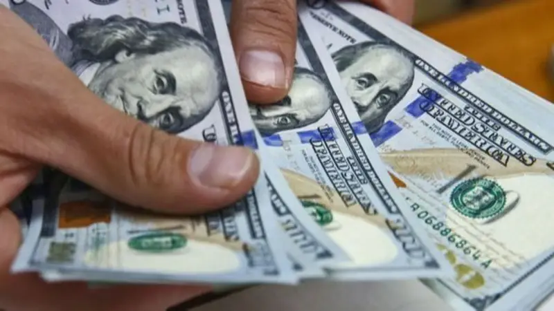 Dólar, cotización del dólar Dólar, cotización del dólar