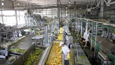Indec: en septiembre, la industria siguió creciendo y se ubicó 6% arriba del 2019 Indec: en septiembre, la industria siguió creciendo y se ubicó 6% arriba del 2019