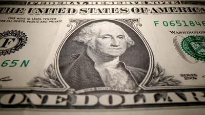 dolar dolar