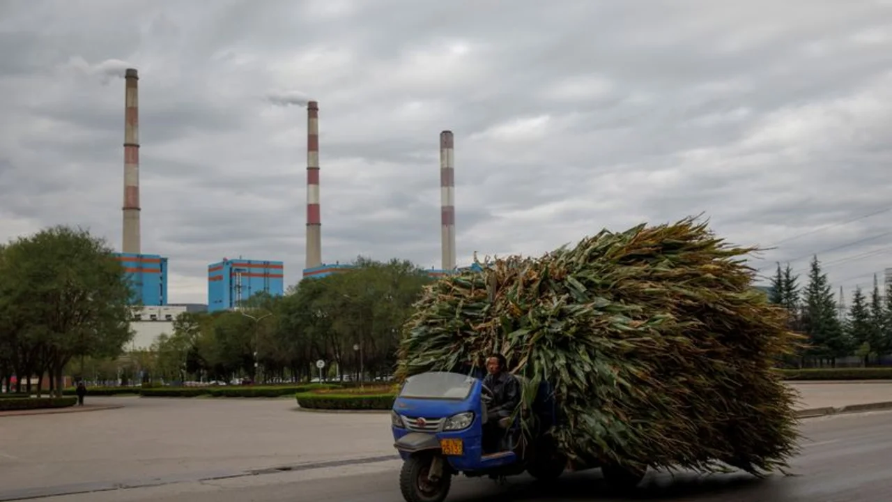 China recorta estimación de cosecha de maíz en 2021/2022 tras lluvias en región norte