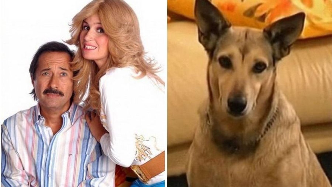 Fatiga. Casados con Hijos
