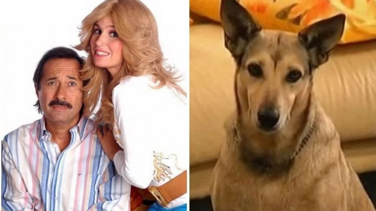 Fatiga. Casados con Hijos
