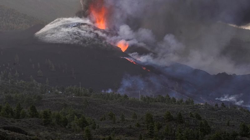 Varios perros aislados por la lava en La Palma reciben comida mediante drones
