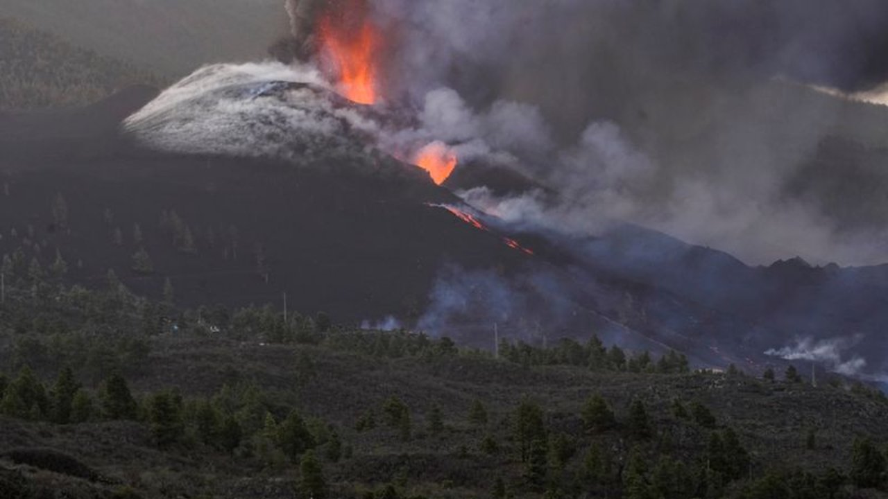 Varios perros aislados por la lava en La Palma reciben comida mediante drones