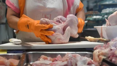 El precio del pollo se disparó un 10,7% en abril luego de la devaluación
