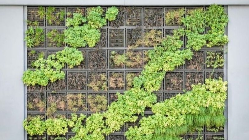 Jardines verticales