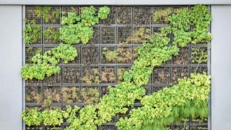 Jardines verticales