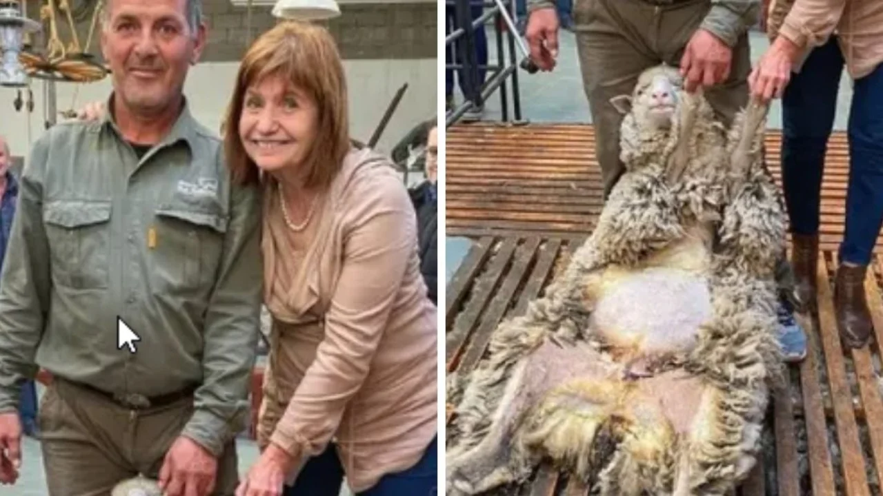 Patricia Bullrich