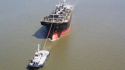 Se hundió un remolcador en el puerto de La Plata Se hundió un remolcador en el puerto de La Plata