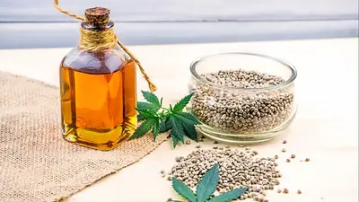 Oportunidades laborales ante una posible apertura del mercado de cannabis Oportunidades laborales ante una posible apertura del mercado de cannabis