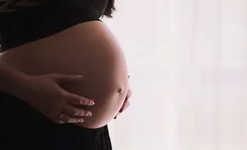 Una mujer alquilará su vientre y dará a luz a su sobrino  | San juan 