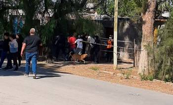 San Juan: mató a la madre de su hija y se quitó la vida | Femicidio