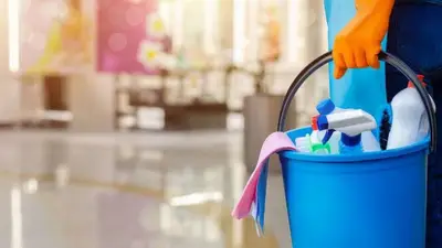 El Gobierno oficializó aumento para el personal doméstico de casas particulares El Gobierno oficializó aumento para el personal doméstico de casas particulares