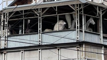 El misterio de la casa de terror de Villa Crespo y su vínculo con la cultura local