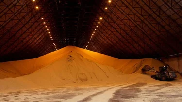 Por qué el campo liquidó en octubre la mitad que en 2021