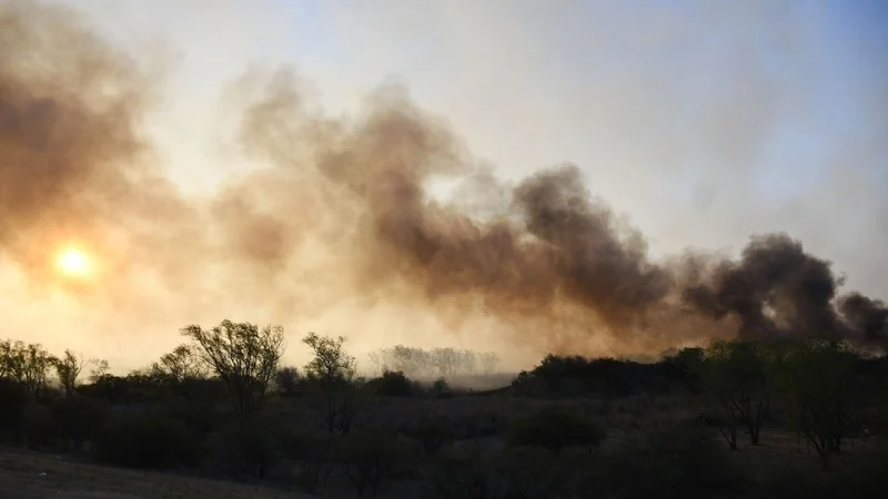 Incendios en el Delta