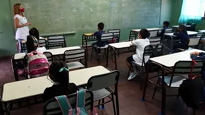 docentes docentes