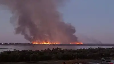 Más de 1800 académicos reclamaron la Ley de Humedales, mientras recrudecen los incendios en el Delta Más de 1800 académicos reclamaron la Ley de Humedales, mientras recrudecen los incendios en el Delta