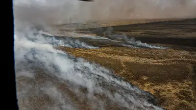 Más de 12 focos de incendios continúan activos en la zona del delta del río Paraná Más de 12 focos de incendios continúan activos en la zona del delta del río Paraná