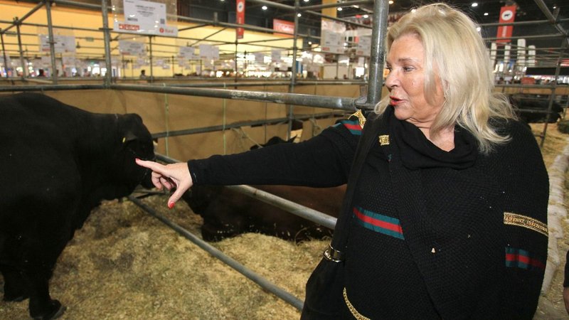 Elisa Carrió 