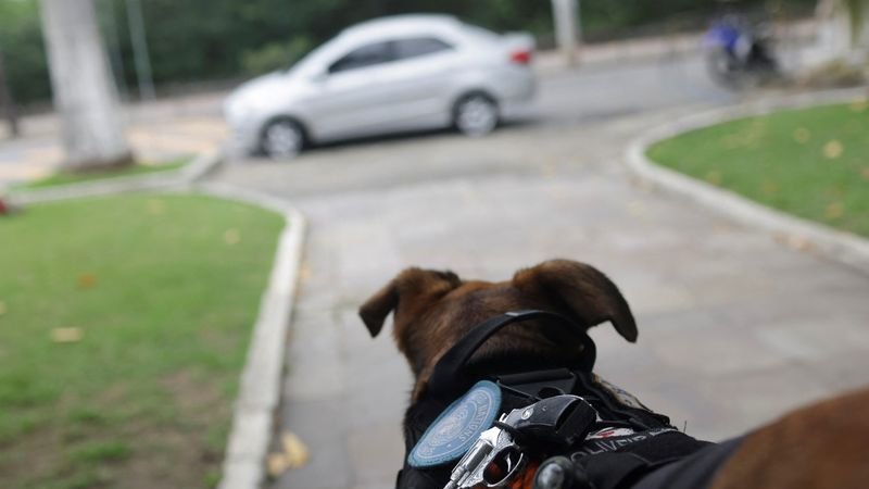 El "cabo de policía" más peludo de Brasil se convierte en una sensación en Internet