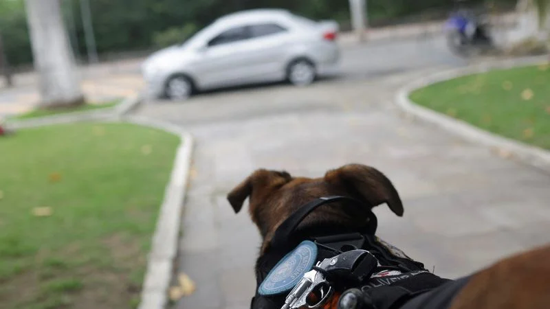 El "cabo de policía" más peludo de Brasil se convierte en una sensación en Internet