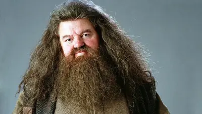 Harry Potter. Robert Coltrane. Hagrid Harry Potter. Robert Coltrane. Hagrid