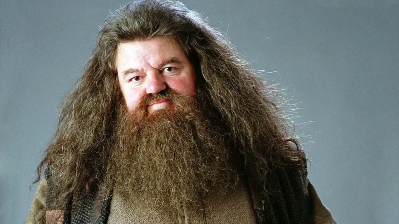 Harry Potter. Robert Coltrane. Hagrid