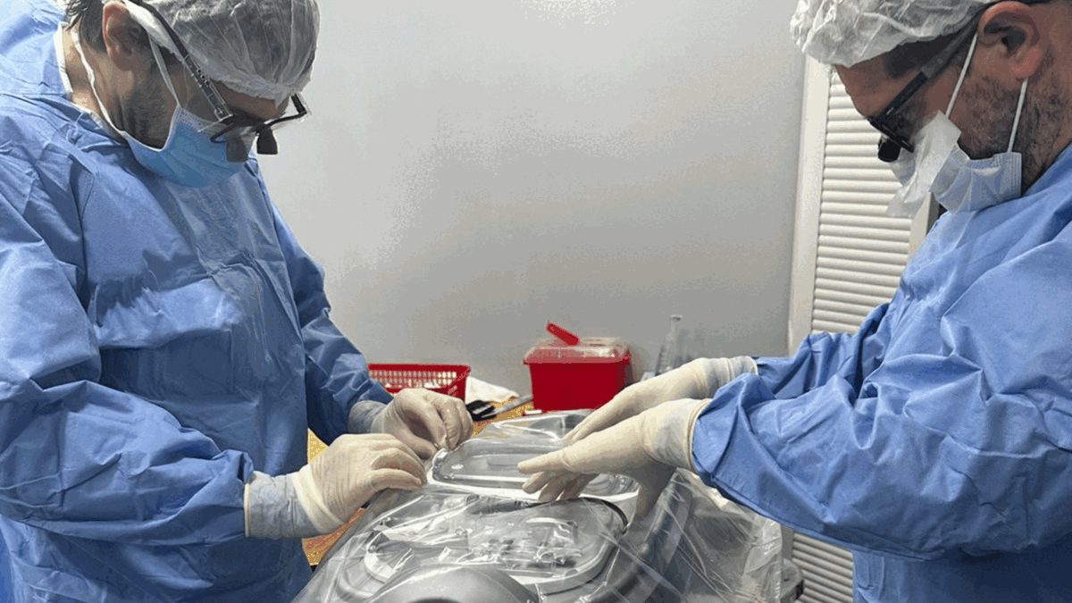 Incucai aprobó el Protocolo de una técnica inédita para ampliar la cantidad de órganos donados 