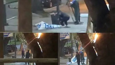 Denuncian la destrucción de carteles de Massa, Kicillof y Alak en La Plata Denuncian la destrucción de carteles de Massa, Kicillof y Alak en La Plata
