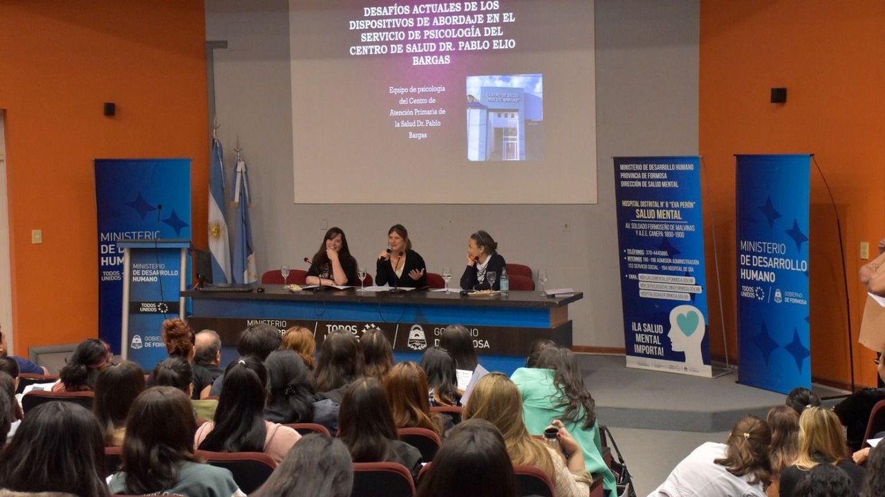 Formosa profundiza la atención interdisciplinaria de la salud mental