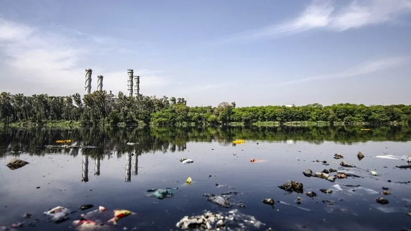 Qué es la contaminación ambiental.