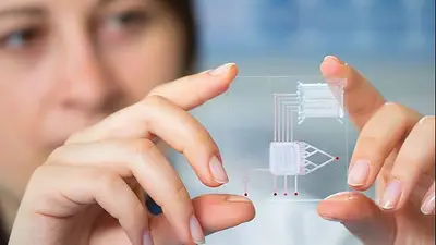 Capacitarán en nanotecnología a estudiantes de escuelas secundarias Capacitarán en nanotecnología a estudiantes de escuelas secundarias