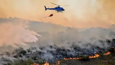 A contramano de Milei, el presidente de Ecuador canceló su agenda en EEUU por incendios en su país A contramano de Milei, el presidente de Ecuador canceló su agenda en EEUU por incendios en su país