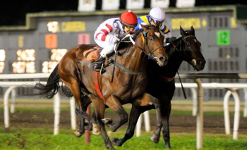 Lucrecia Carabajal, la jocketa récord del turf argentino  | Historias de vida