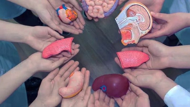 Donación de órganos.
