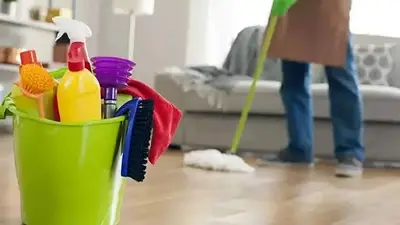 Empleada doméstica Empleada doméstica